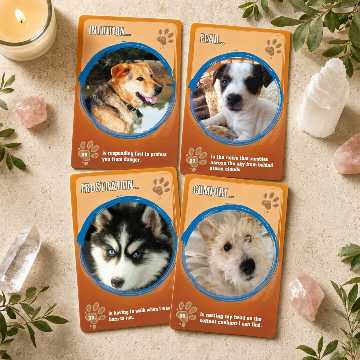 Dog Guidance Cards