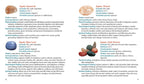 Crystal Basics Pocketbook Encyclopedia