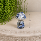 4cm Gemstone Mushroom - Afghanite