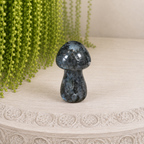 4cm Gemstone Mushroom - Larvikite