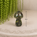 4cm Gemstone Mushroom - Dragonblood Jasper