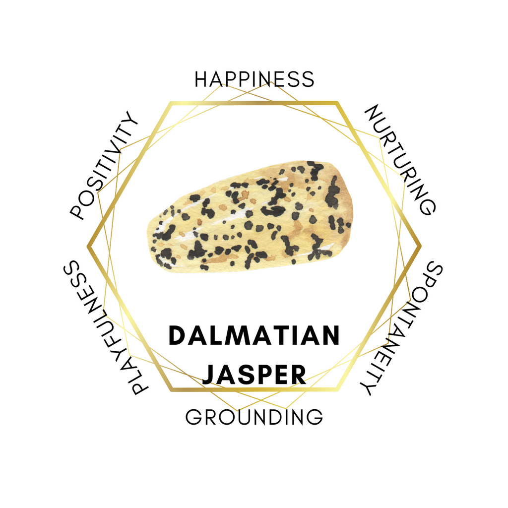 3cm Gemstone Egg - Dalmatian Jasper