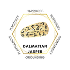 10mm Dalmatian Jasper Gemstone Bracelet