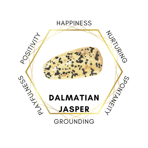 10mm Dalmatian Jasper Gemstone Bracelet