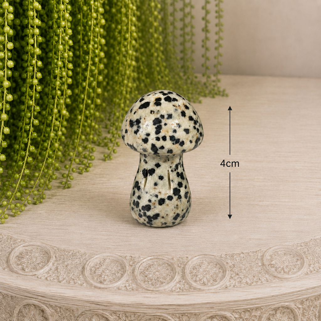 4cm Gemstone Mushroom - Dalmatian Jasper