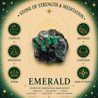 Love - Emerald with Ginger Soy Wax Candle