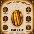 4cm Gemstone Mushroom - Tiger Eye